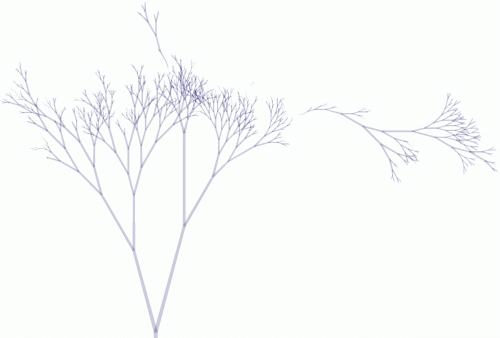 MSN binary tree